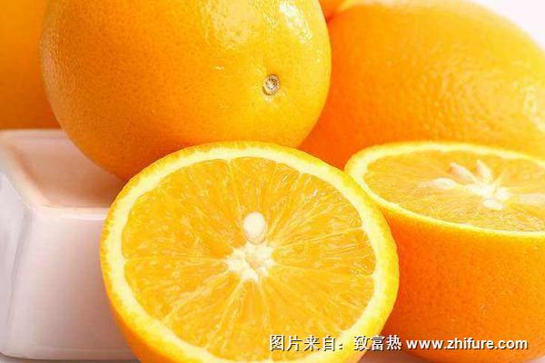 臍橙品種有哪些