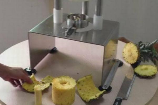 菠蘿去皮機(jī)有哪些品牌和型號(hào)