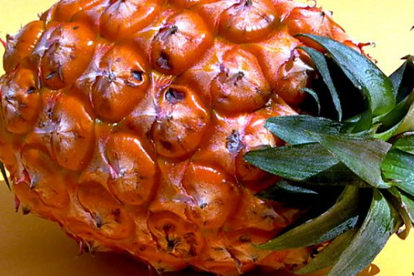 菠蘿去皮機(jī)有哪些品牌和型號(hào)