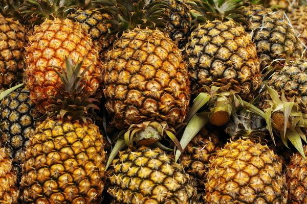 菠蘿去皮機(jī)有哪些品牌和型號(hào)