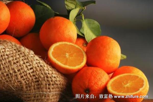 臍橙皮的功效與作用