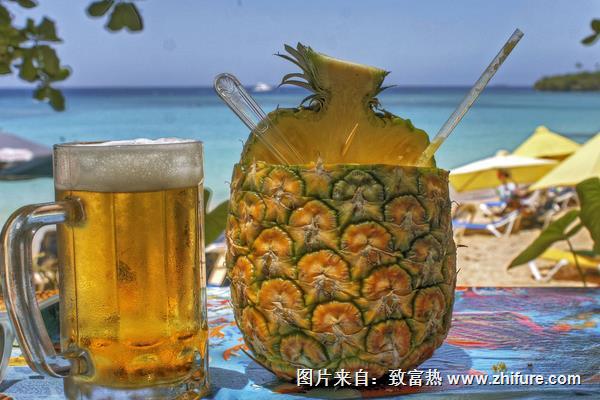 菠蘿啤是碳酸飲料嗎