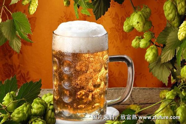 孕婦可以喝菠蘿啤嗎