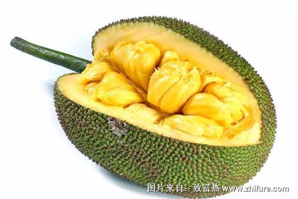 孕婦可以吃樹菠蘿嗎