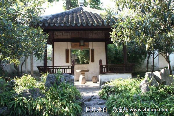 庭院種枇杷樹(shù)的風(fēng)水