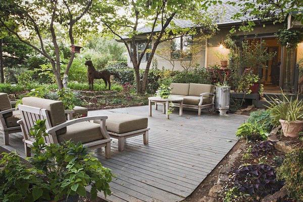 庭院種枇杷樹的風水