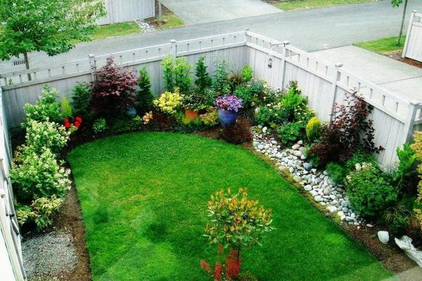 庭院種枇杷樹的風水