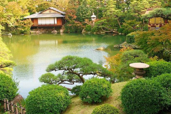 庭院種枇杷樹的風水