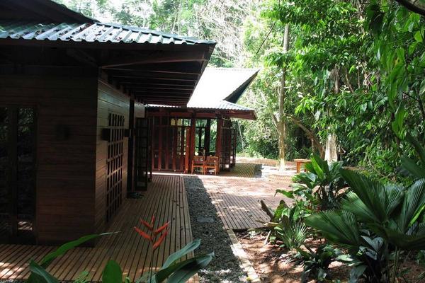 庭院種枇杷樹的風水