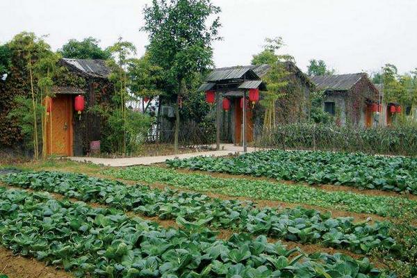 生態農莊：今后十年的“暴利”行業