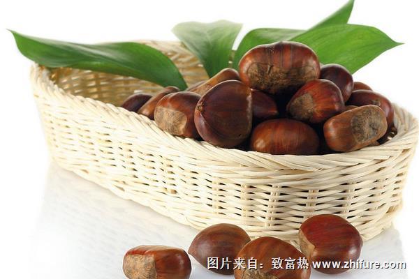 板栗的價格多少錢一斤