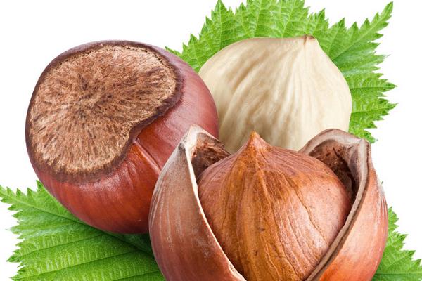 板栗的價格多少錢一斤