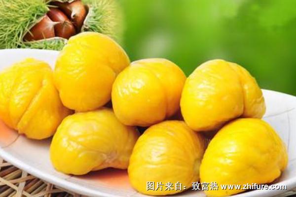 板栗剝皮機有哪些型號