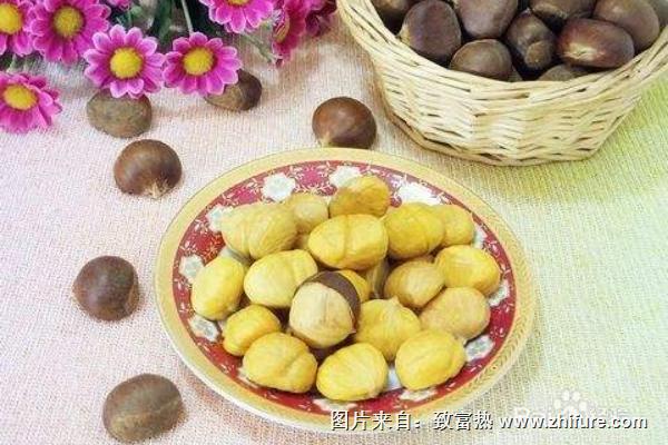 板栗剝皮機有哪些型號