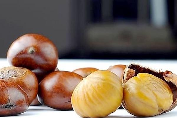 板栗剝皮機有哪些型號