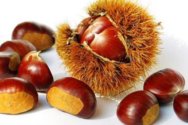 栗子怎么煮容易剝殼