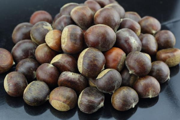生板栗的功效與作用及禁忌