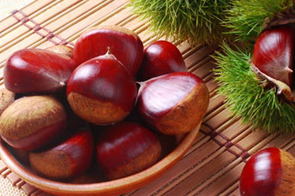 生板栗的功效與作用及禁忌