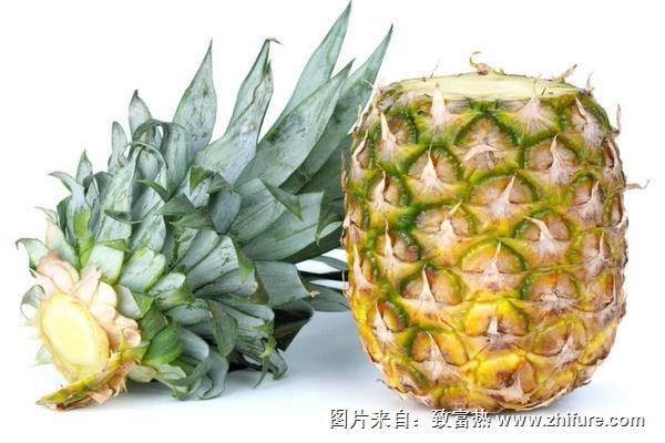 菠蘿葉的藥用價值