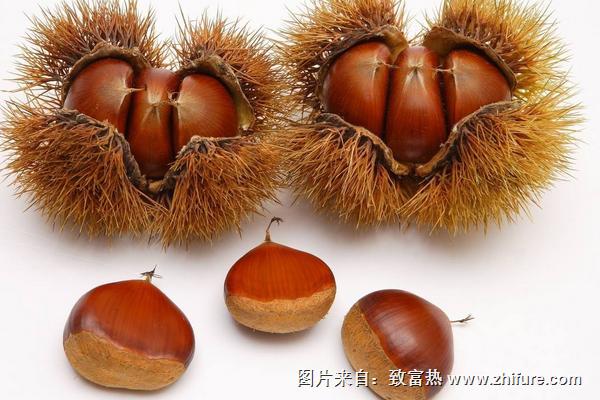 板栗和紅薯能一起吃嗎