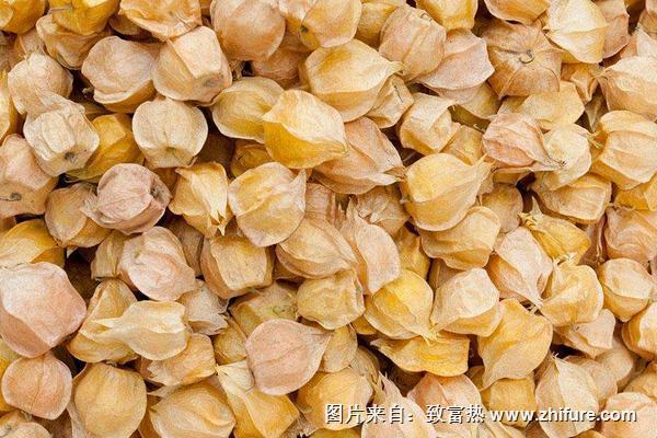 菠蘿果圖片大全