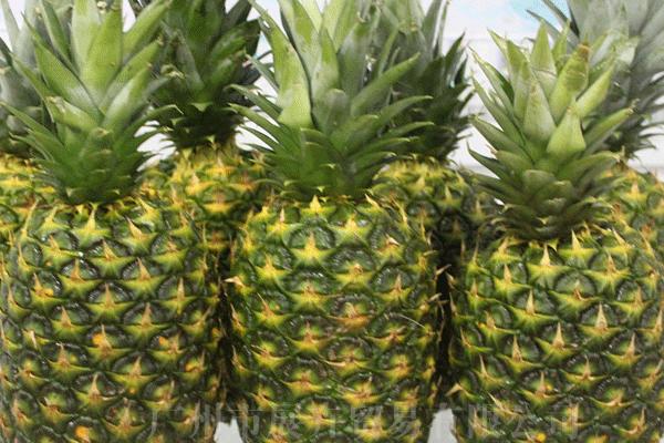 都樂菠蘿用鹽水泡嗎