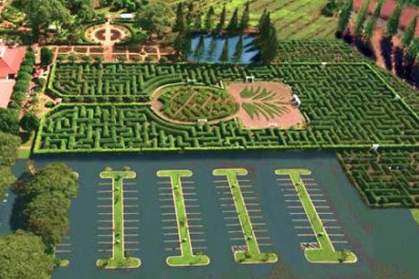 都樂菠蘿用鹽水泡嗎