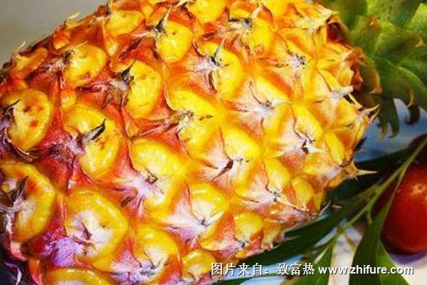 香水菠蘿和普通菠蘿的區(qū)別是什么