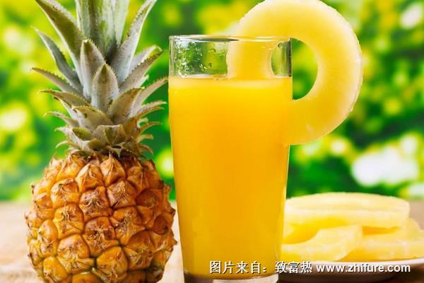 菠蘿汁的做法大全