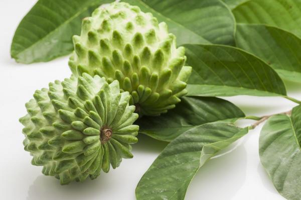 菠蘿釋迦是什么