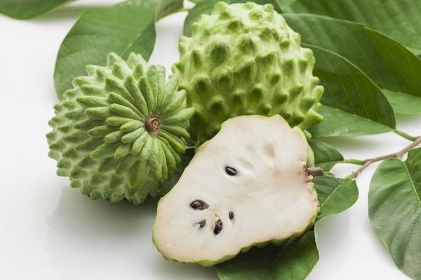 菠蘿釋迦是什么