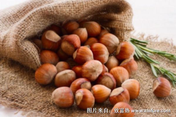 板栗為什么容易生蟲