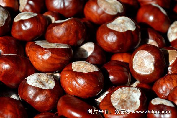 吃板栗會便秘嗎