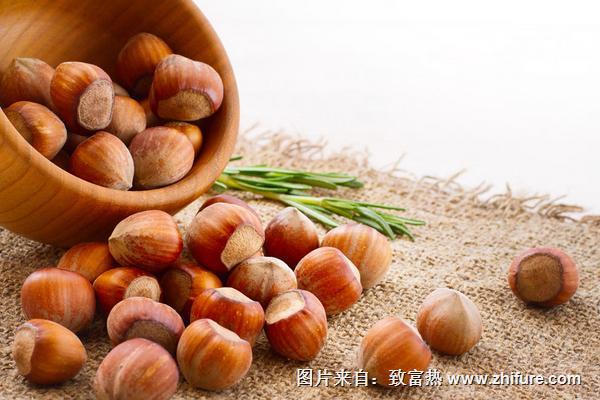 榛子和板栗有什么區別