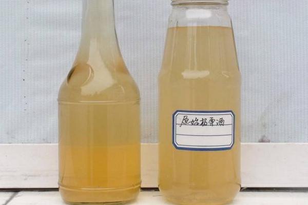 板栗泡酒能速效壯陽嗎