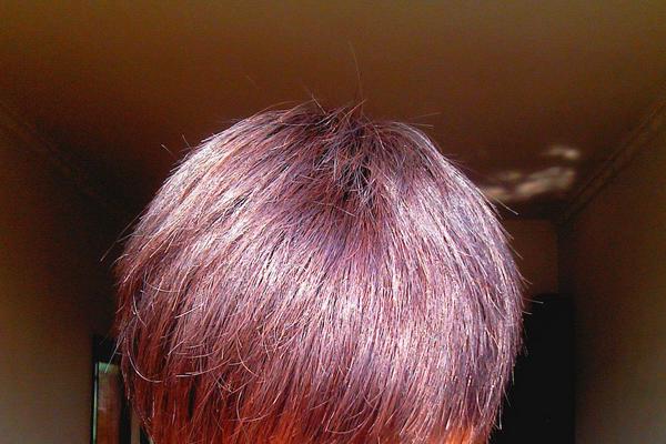 板栗色頭發(fā)圖片大全(女)