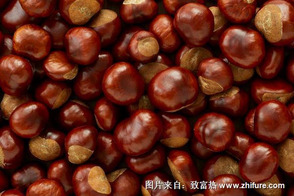 板栗和酸奶能一起吃嗎