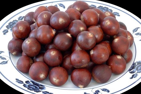 板栗屬于堅果嗎