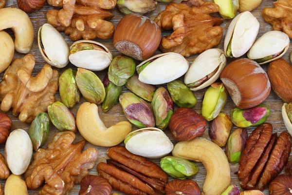 板栗屬于堅果嗎