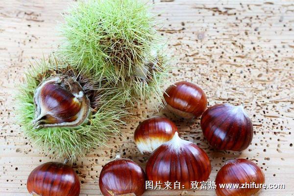 膽囊炎能吃板栗嗎