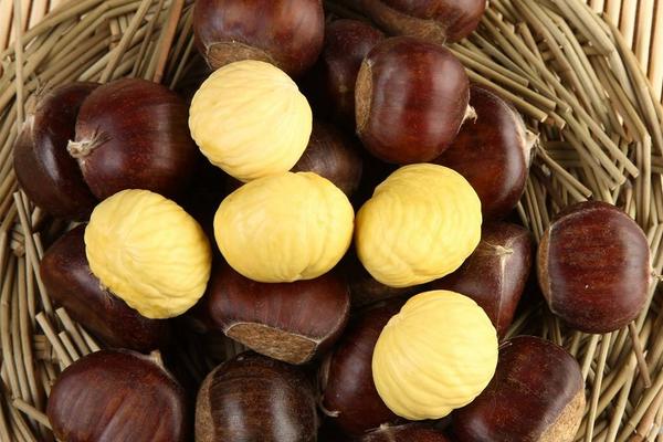 膽囊炎能吃板栗嗎