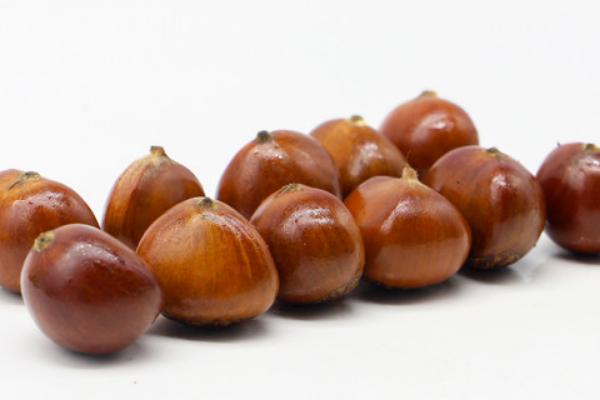 月經(jīng)期可以吃板栗嗎