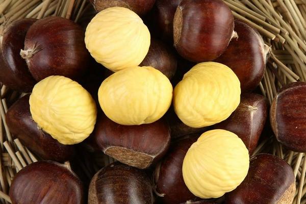 板栗和栗子的區別是什么