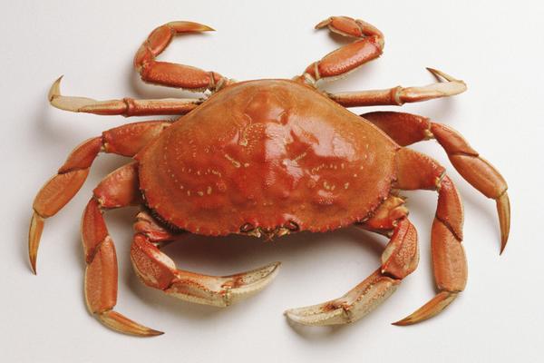 板栗和螃蟹能一起吃嗎