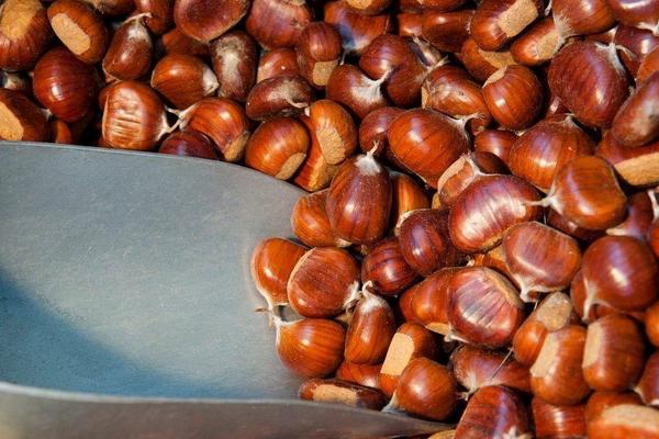 板栗和螃蟹能一起吃嗎