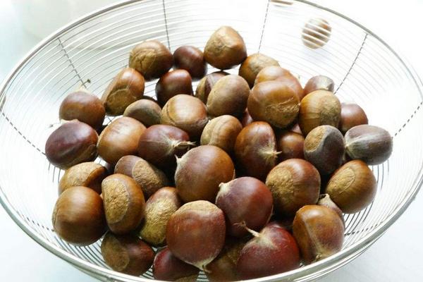 板栗泡酒的做法步驟