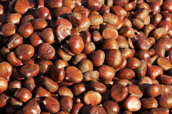 板栗泡酒的做法步驟