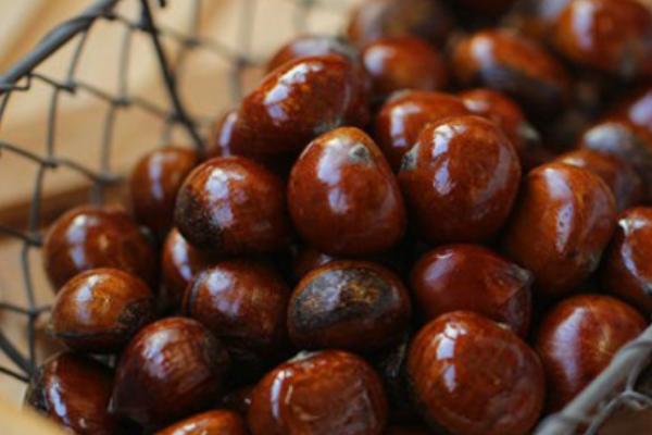 板栗皮能吃嗎