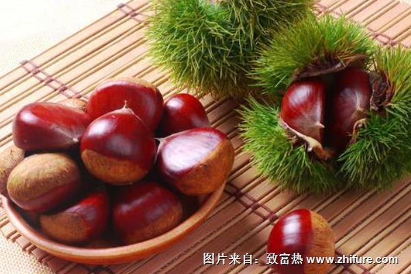 板栗能放冰箱冷凍嗎