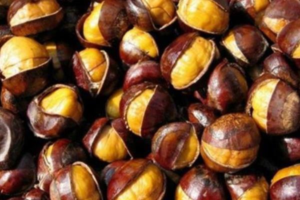 板栗能放冰箱冷凍嗎